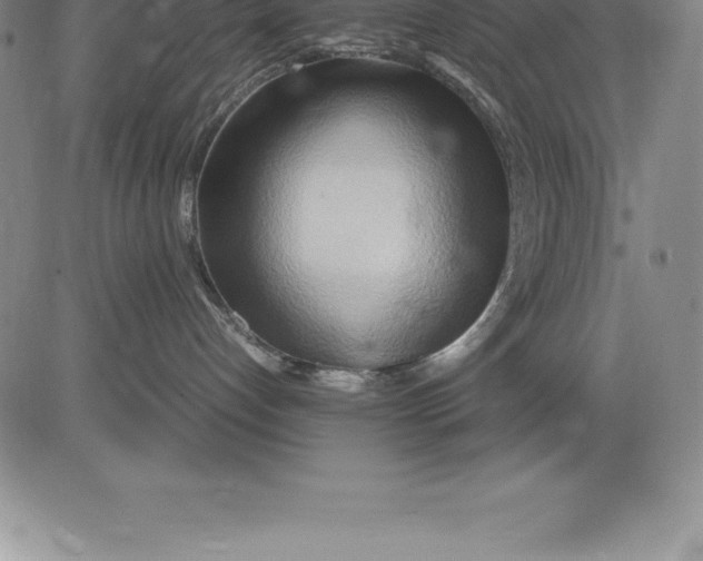 X0000083620192200703051619