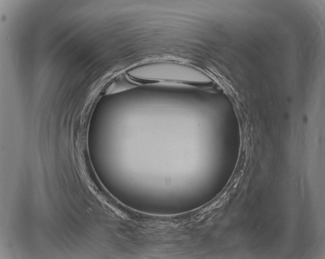 X0000083620193200703051618