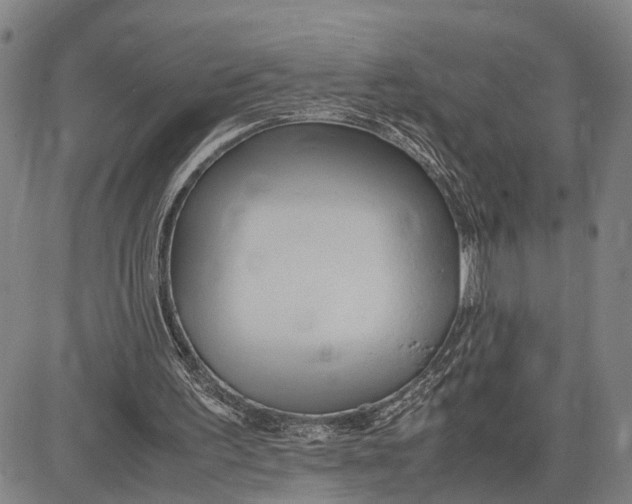 X0000083620195200703051618