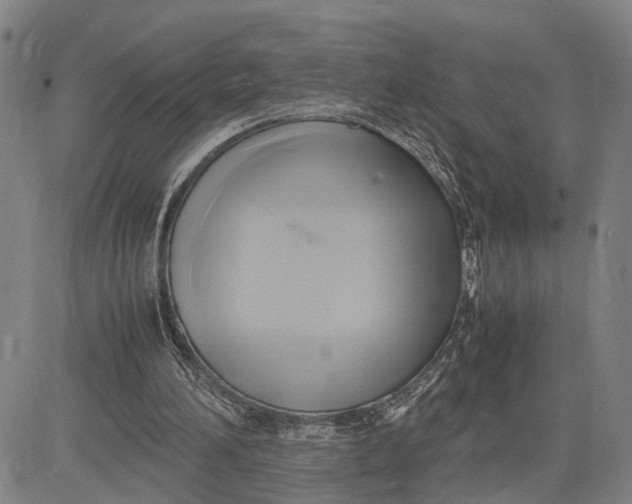 X0000083620196200703051618