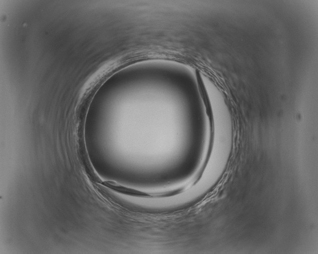 X0000083620197200703051618