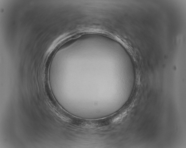 X0000083620199200703051618