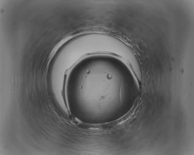 X0000083620200200703051618