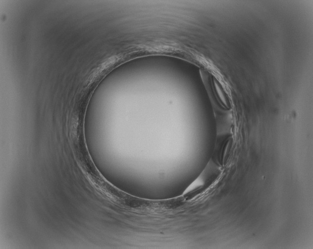 X0000083620201200703051618