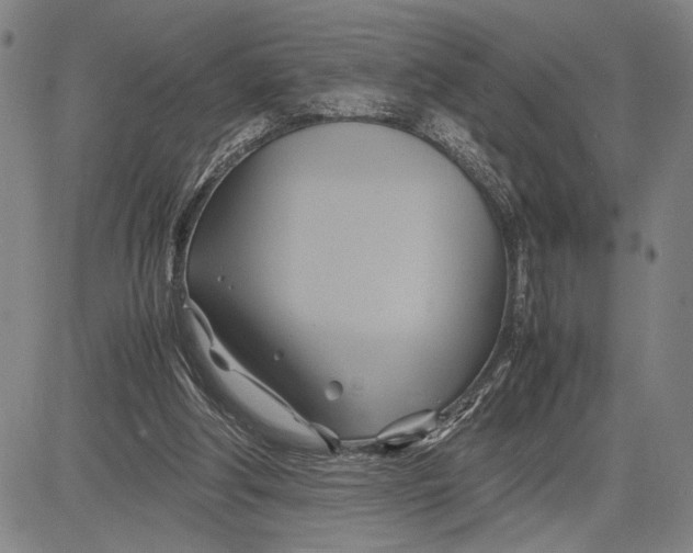 X0000083620202200703051618