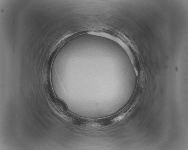 X0000083620203200703051618