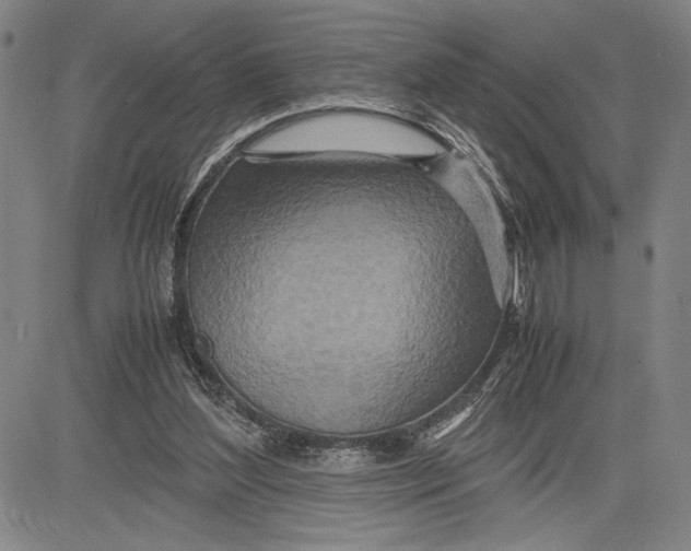 X0000083620204200703051618