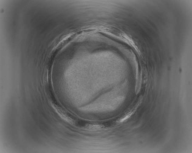 X0000083620205200703051618