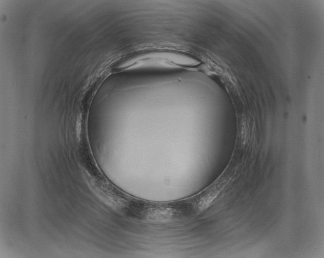 X0000083620206200703051618