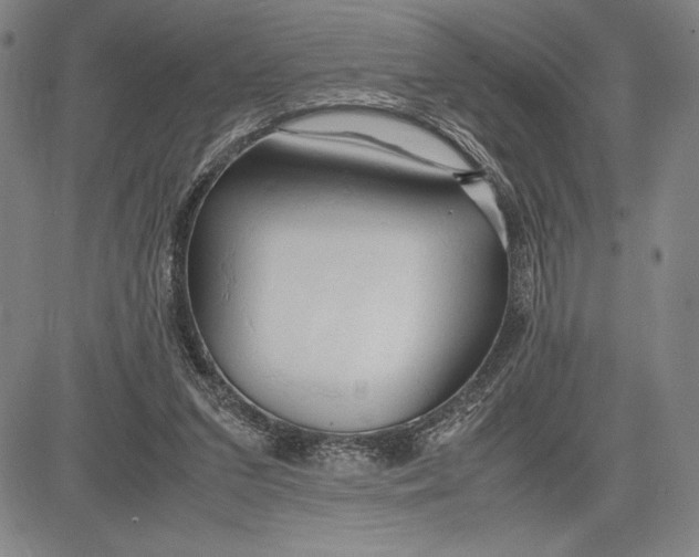 X0000083620207200703051618