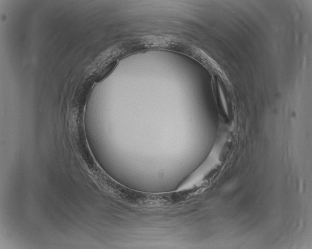 X0000083620209200703051618