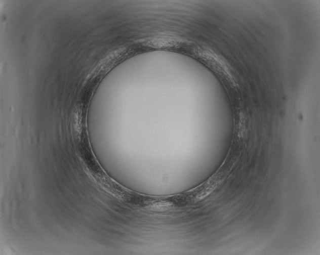 X0000083620210200703051618