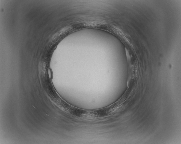 X0000083620211200703051618