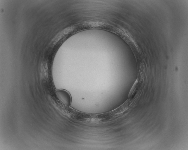 X0000083620212200703051618