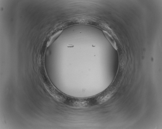 X0000083620213200703051618