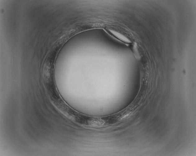 X0000083620215200703051617