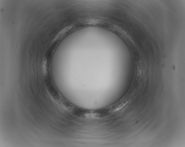 X0000083620216200703051617