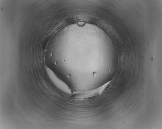 X0000083620218200703051617