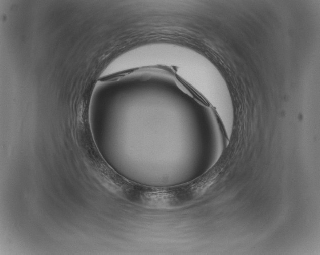 X0000083620219200703051617