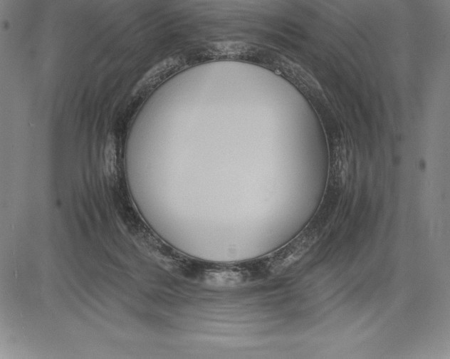 X0000083620220200703051617