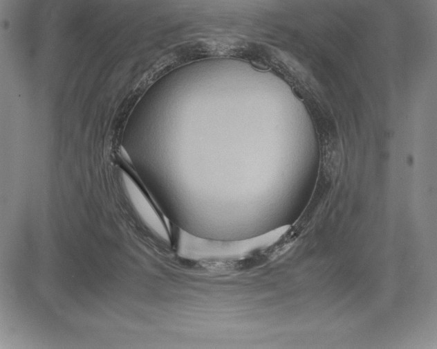 X0000083620221200703051617