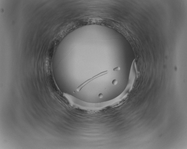 X0000083620222200703051617