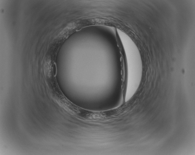 X0000083620223200703051617