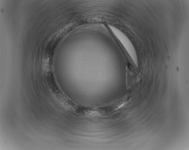 X0000083620224200703051617