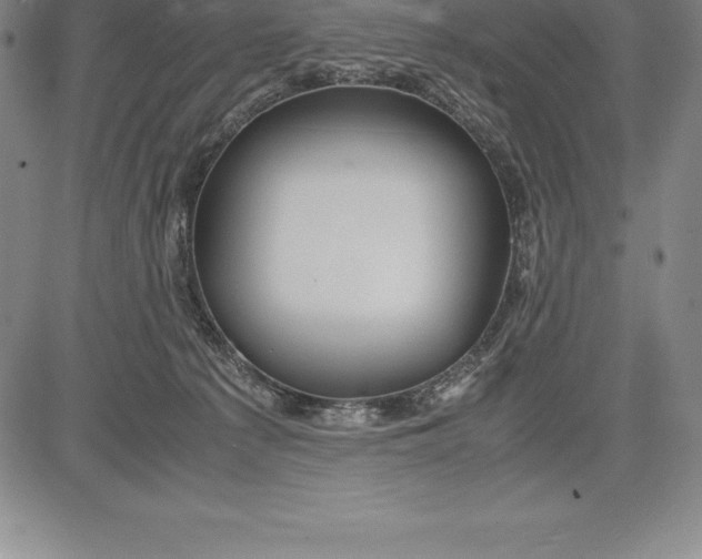 X0000083620225200703051617