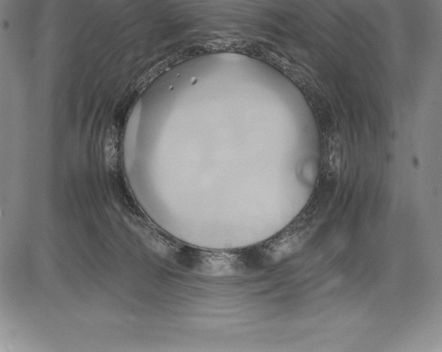 X0000083620226200703051617