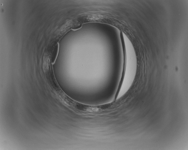 X0000083620227200703051617