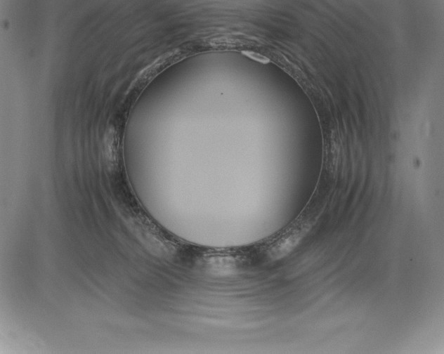 X0000083620228200703051617