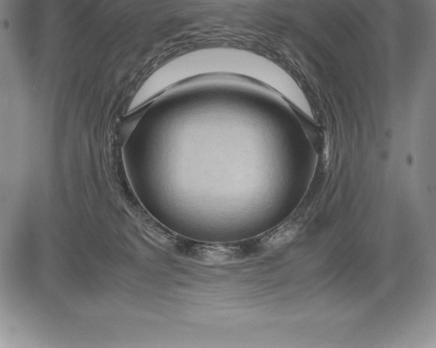 X0000083620229200703051617