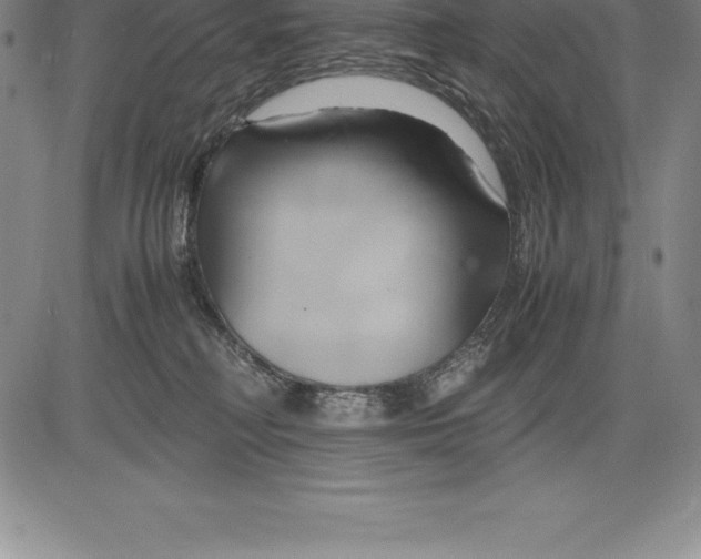 X0000083620230200703051617