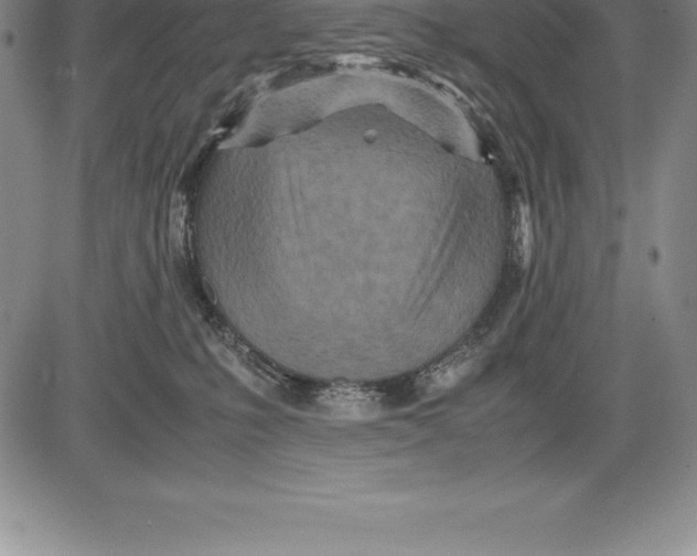 X0000083620231200703051617