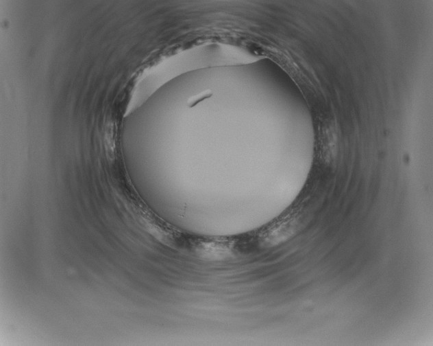 X0000083620232200703051617