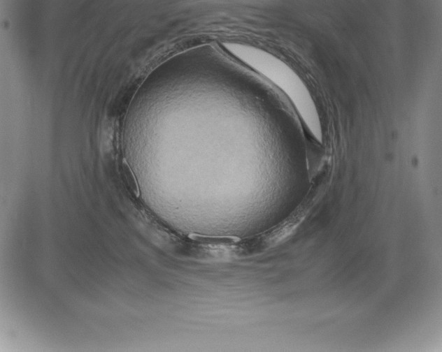 X0000083620233200703051617