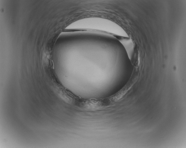 X0000083620235200703051617