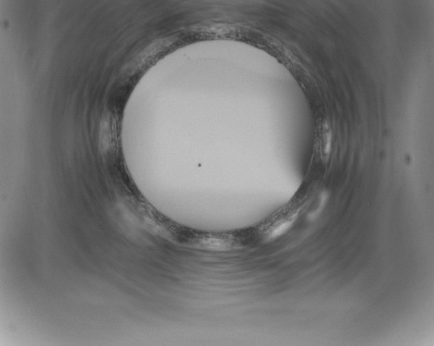 X0000083620236200703051617