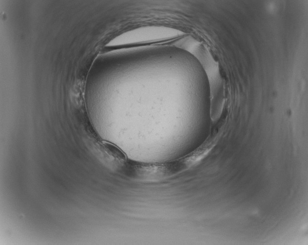 X0000083620237200703051617