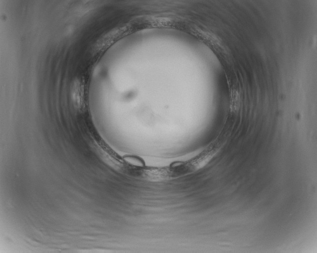 X0000083620238200703051617