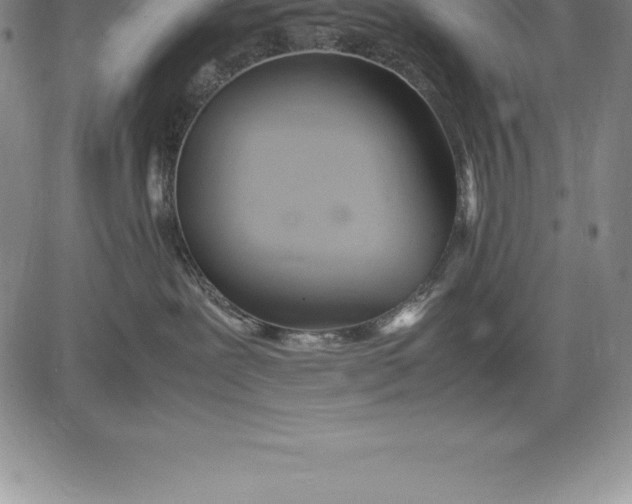 X0000083620239200703051617