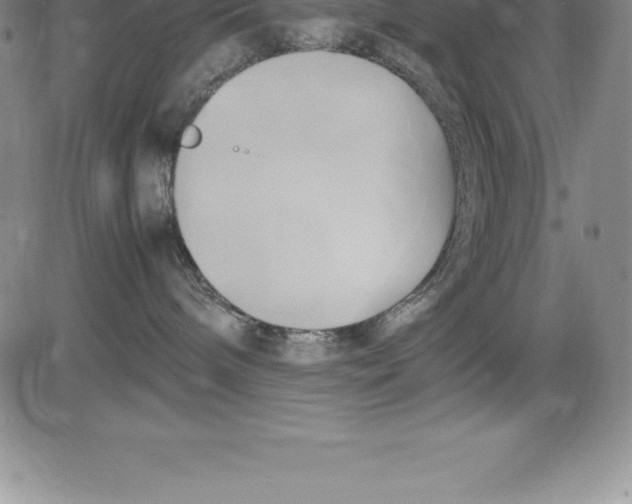 X0000083620240200703051617