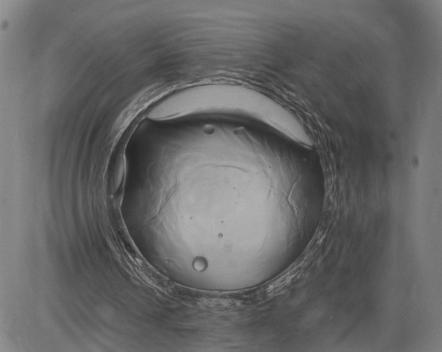 X0000083620242200703051616