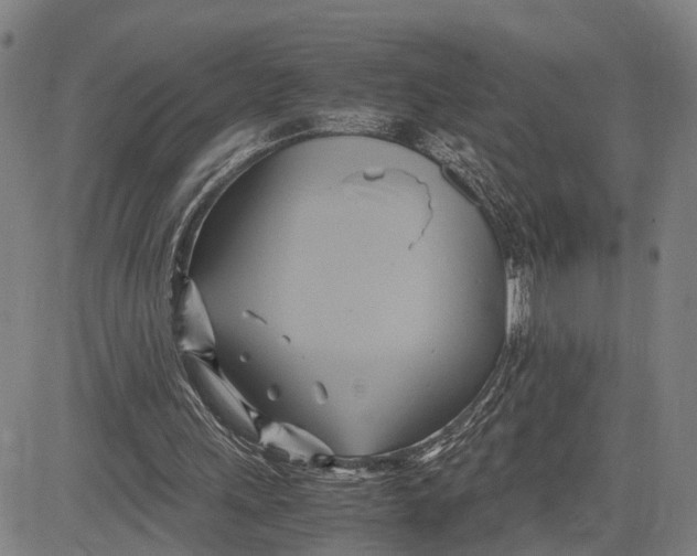 X0000083620243200703051616