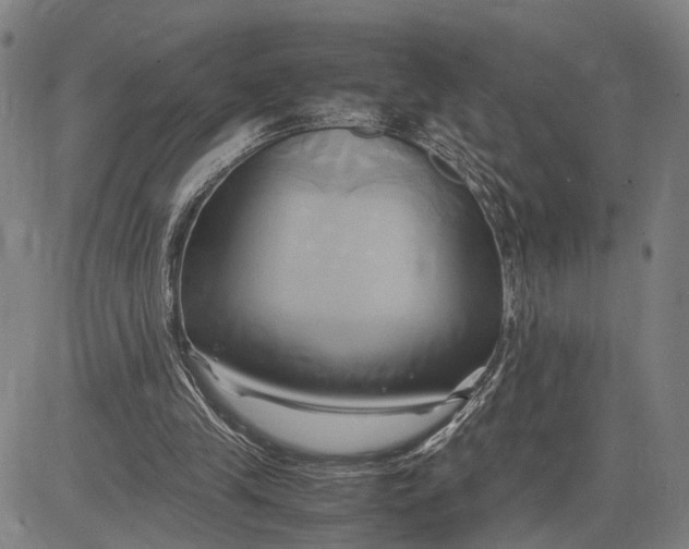 X0000083620245200703051616