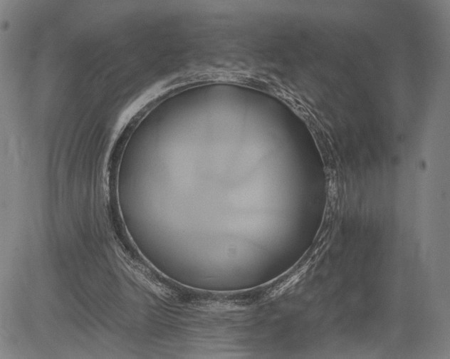 X0000083620246200703051616