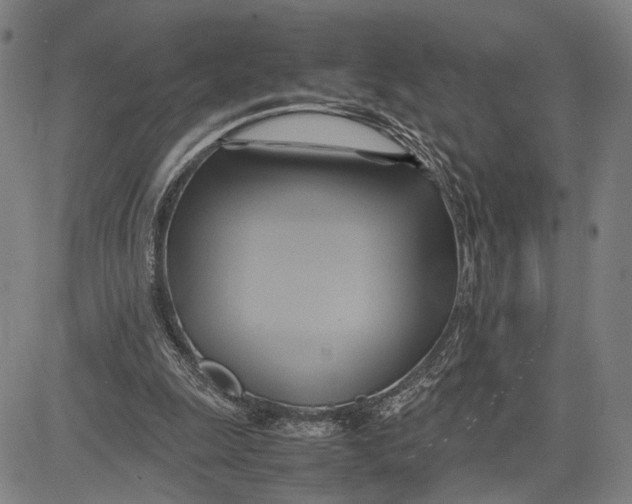 X0000083620247200703051616