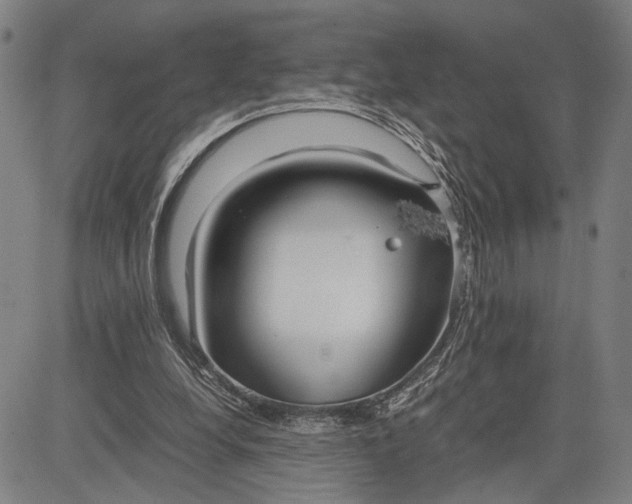 X0000083620248200703051616