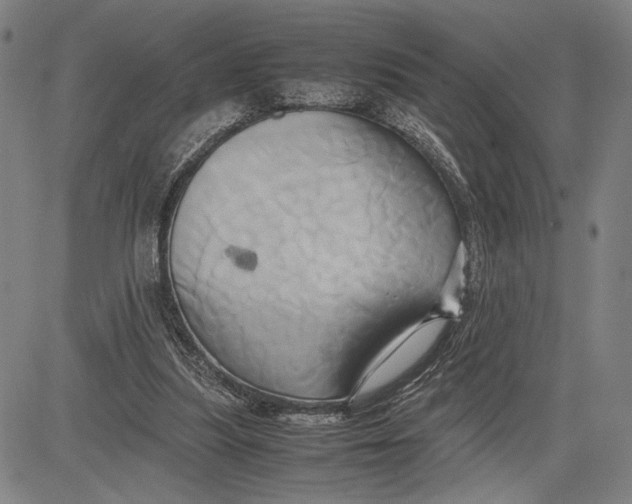 X0000083620251200703051616